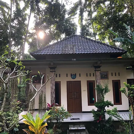 Belimbing Homestay
